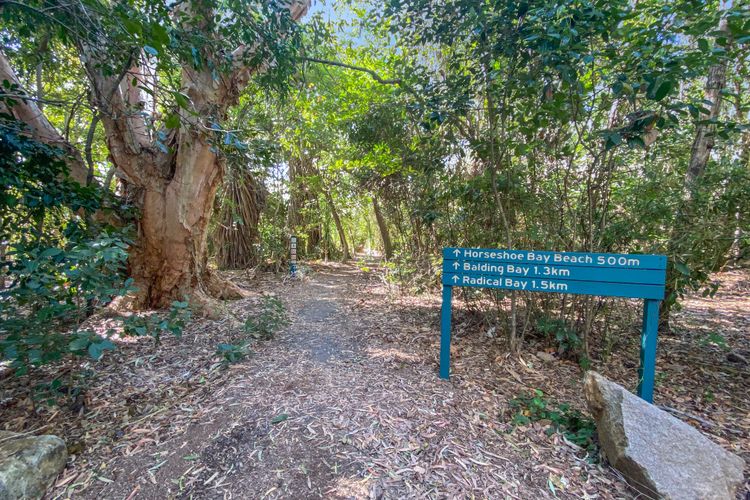 Absolute Beachfront Master