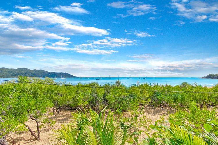 Absolute Beachfront Master