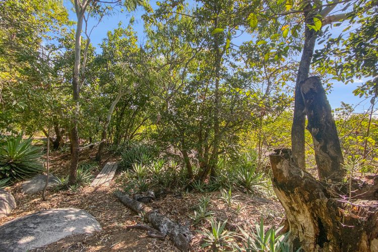 Absolute Beachfront Master