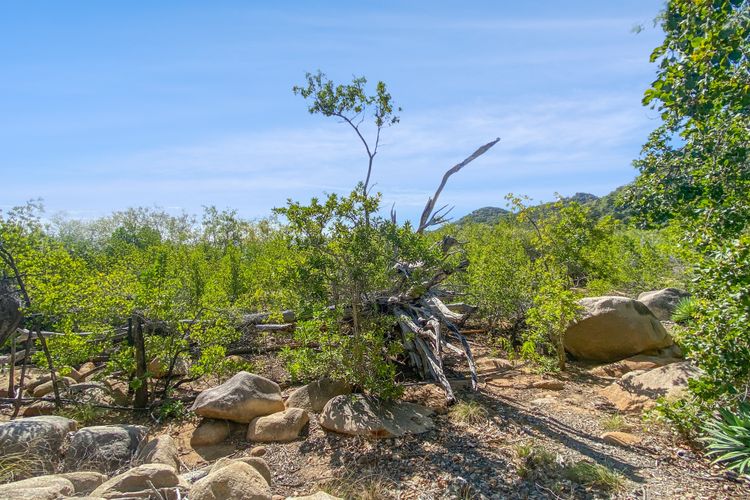 Absolute Beachfront and Pool House