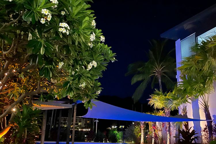 Blue on Blue Apartment 933