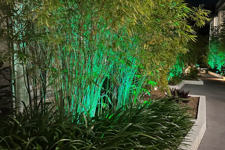 Blue on Blue Apartment 933