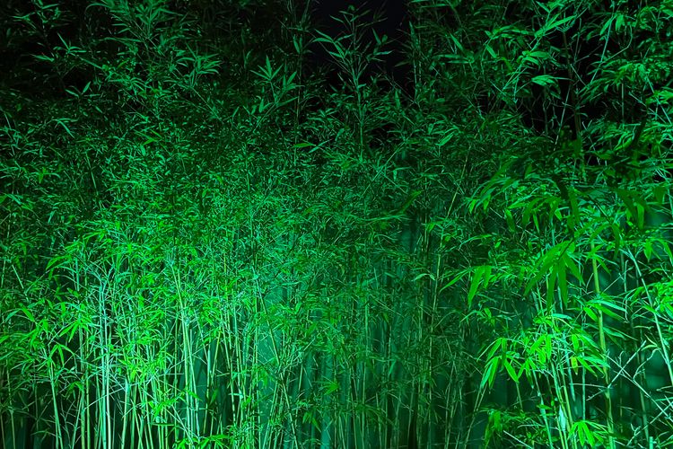 Blue on Blue Apartment 933