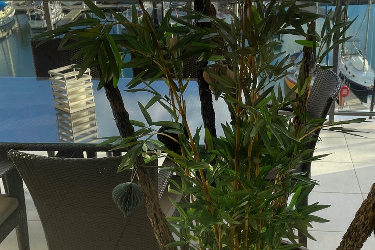 Blue on Blue Apartment 933