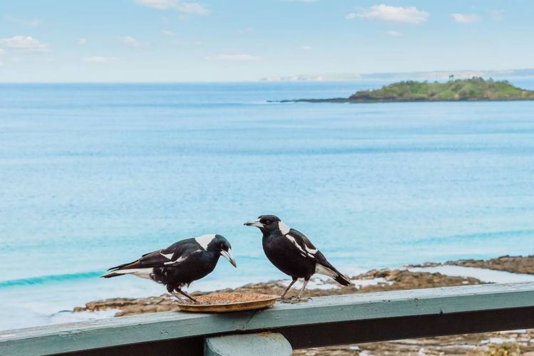 Surfers Retreat with access to the beach