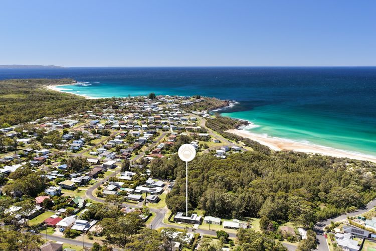 The Bird House Manyana