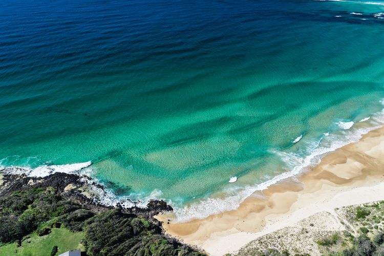 The Bird House Manyana