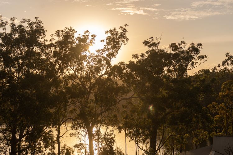 Lakeview at Berringer