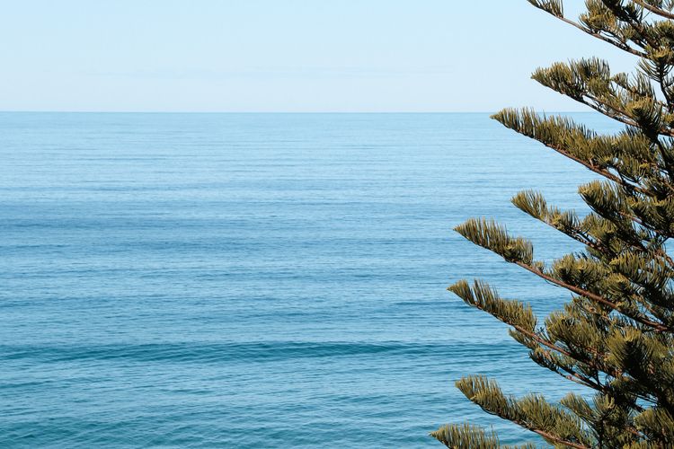 Mermaid Cove