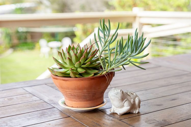 Manyana Beach Getaway