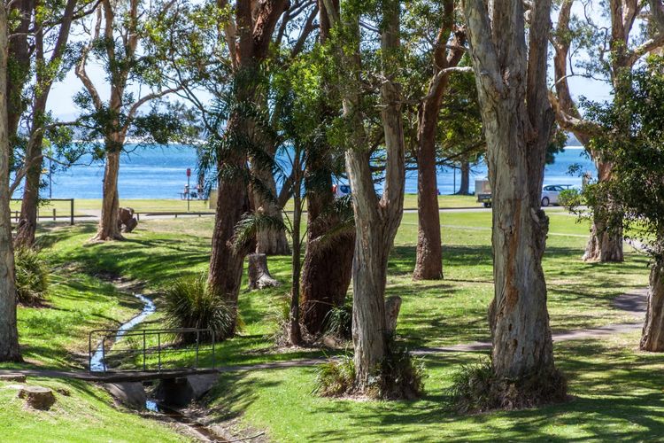 Bay Parklands, 28/2 Gowrie Ave – pool, tennis + stunning views