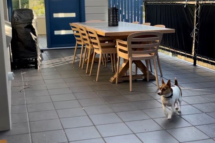 Banyan, 14 Montevideo Parade – Spacious pet friendly property with air con and WiFi