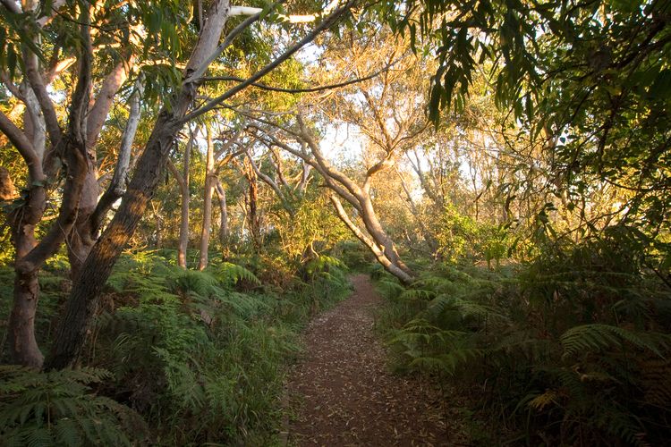 Barefoot, 7/44 Marine Drive – Fabulous Fingal Bay