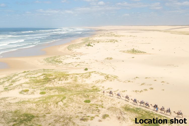 Birubi Breezes, 2/7 Fitzroy St – Large Duplex with Air Conditioning, WIFI & only 5 minute walk to the beach