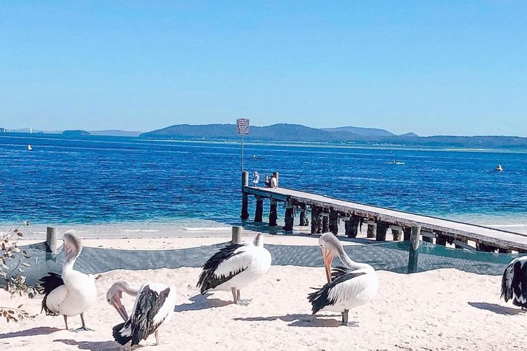 Carindale, 10/19 Dowling Street – Ground floor unit close to pool and tennis court, Wi-Fi, foxtel, linen and bed making supplied