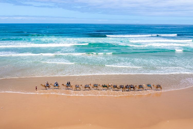 Carindale, 10/19 Dowling Street – Ground floor unit close to pool and tennis court, Wi-Fi, foxtel, linen and bed making supplied