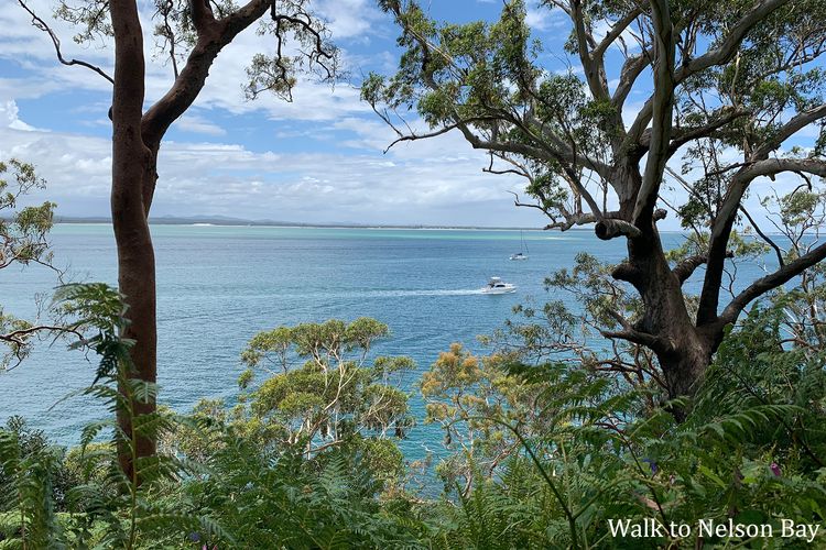 Celeste, 26 Bonito Street – Tranquil, Stylish & Pet friendly