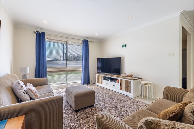 Happy Tails , 55 Pantowora Street – pet friendly, air conditioned