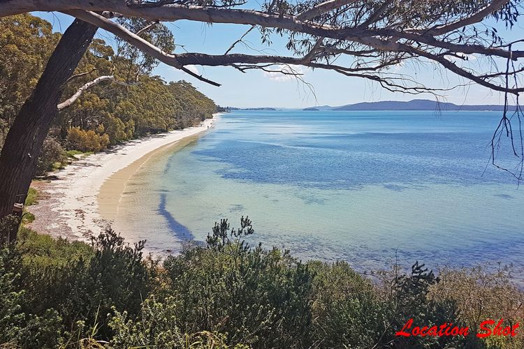 Happy Tails , 55 Pantowora Street – pet friendly, air conditioned