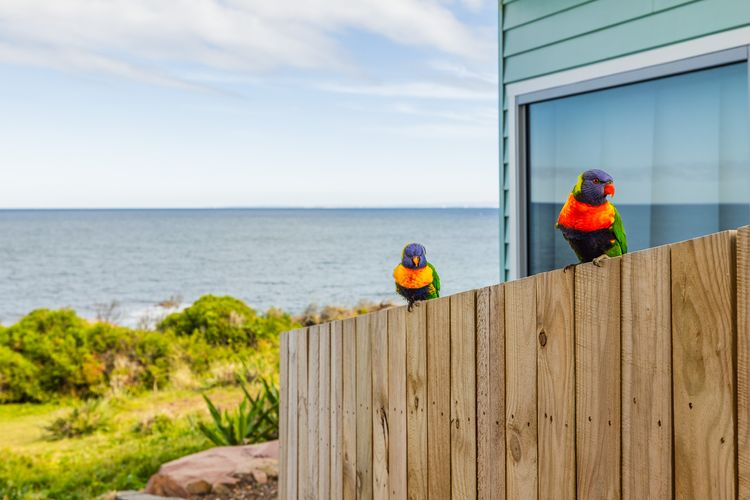 Ocean Views, 4 Ocean Street – Absolute Waterfront Retreat at Fishermans Bay