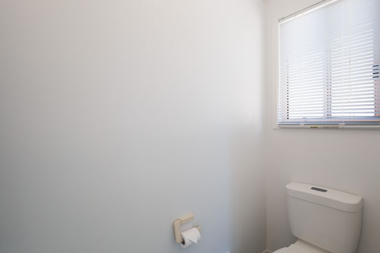 Upstairs Main Bathroom toilet