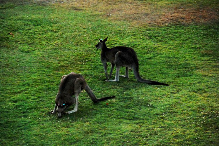 Ocean Shores, 12/27 Weatherly Cl – Waterfront Unit with Sensational Water Views, NBN Internet (WIFI) & Air Conditioning