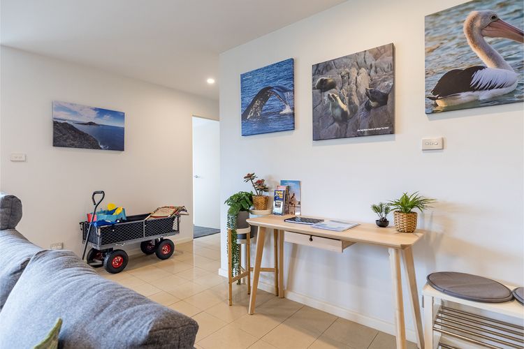 Dolphin Cove 8, 2-6 Government Rd – Air conditioning, Wi-Fi, lift, secure parking and close to town