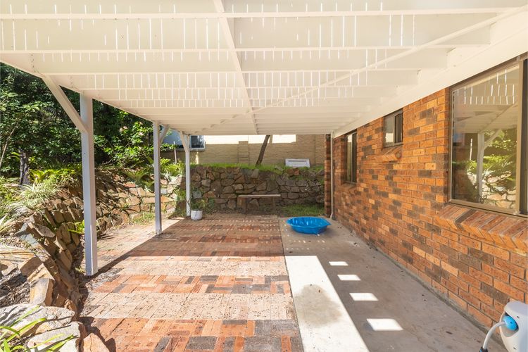 Tanilba 23 Flannel Flower Fairway meaning White Flower