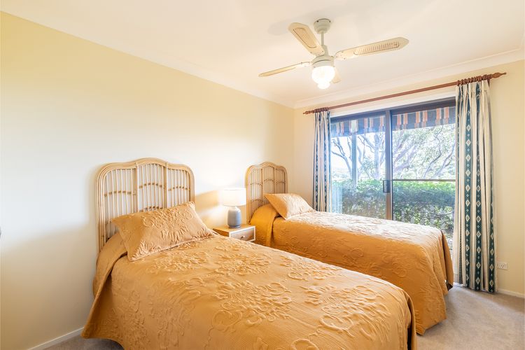 Tanilba 23 Flannel Flower Fairway meaning White Flower