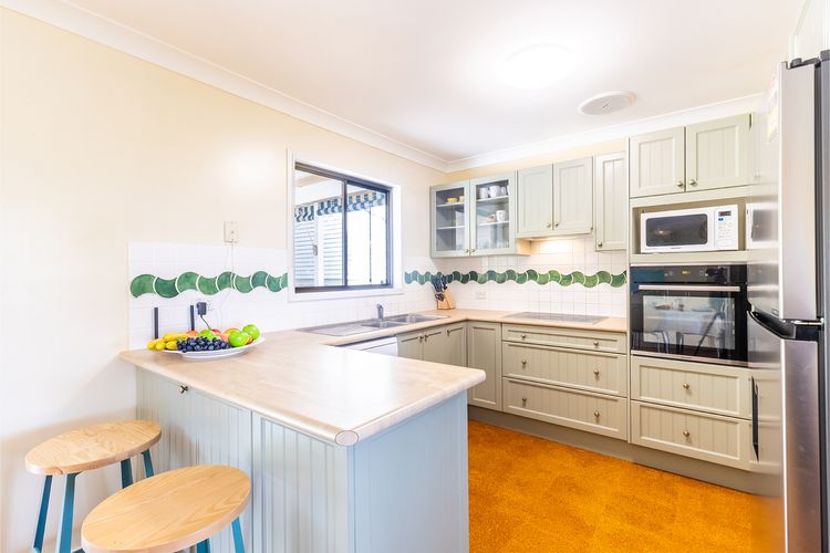 Tanilba 23 Flannel Flower Fairway meaning White Flower