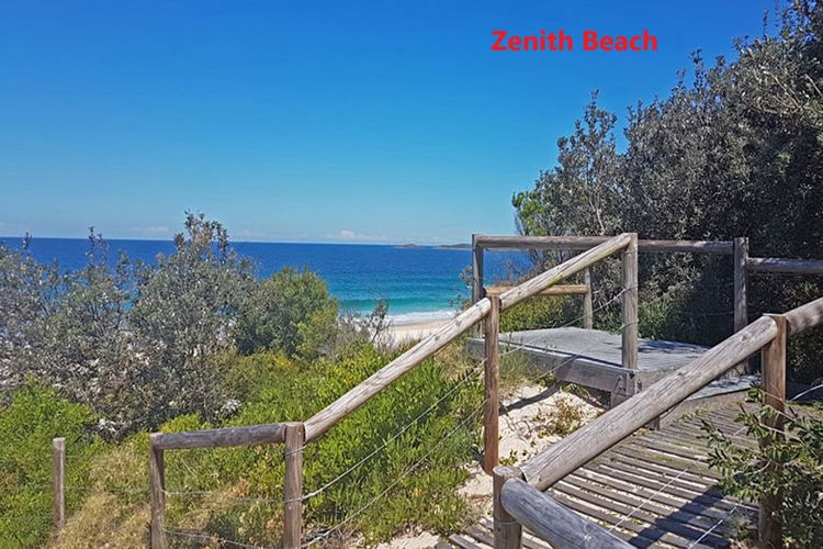 Tanilba 23 Flannel Flower Fairway meaning White Flower