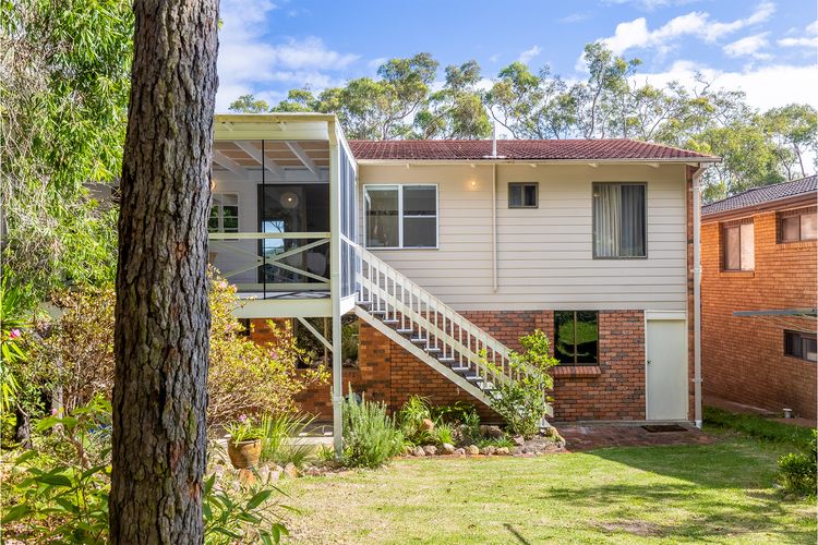 Tanilba 23 Flannel Flower Fairway meaning White Flower