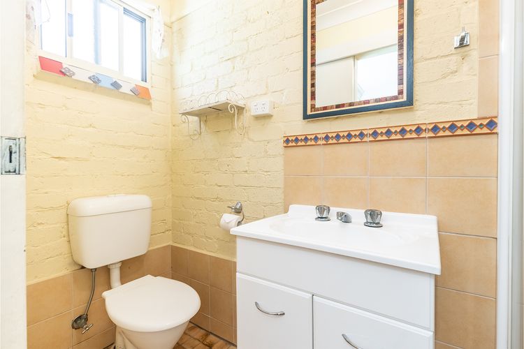 Tanilba 23 Flannel Flower Fairway meaning White Flower