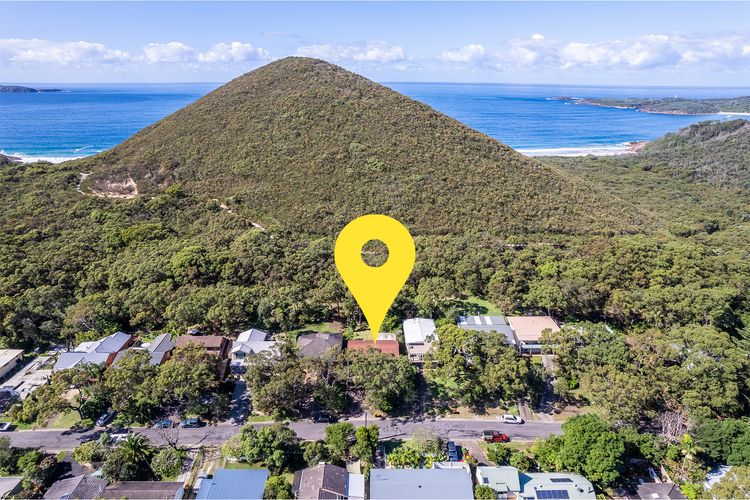 Tanilba 23 Flannel Flower Fairway meaning White Flower