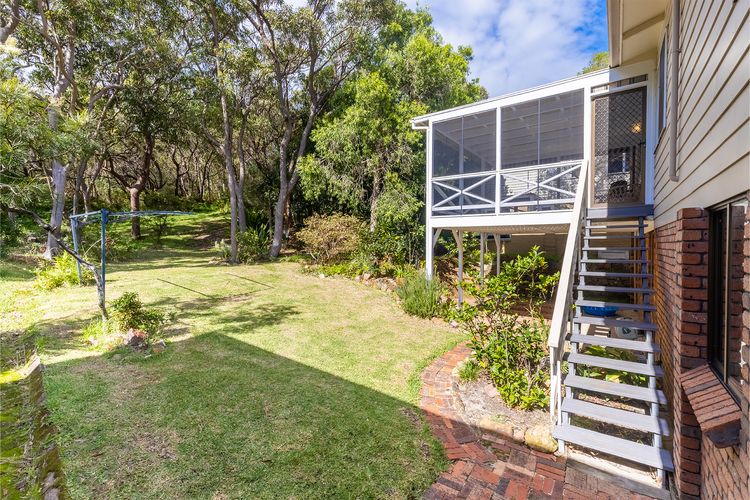 Tanilba 23 Flannel Flower Fairway meaning White Flower