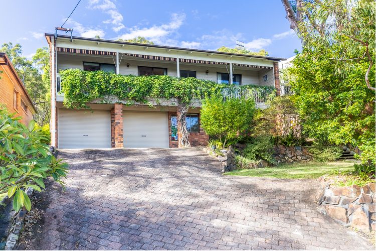 Tanilba 23 Flannel Flower Fairway meaning White Flower