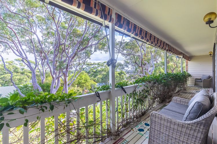 Tanilba 23 Flannel Flower Fairway meaning White Flower