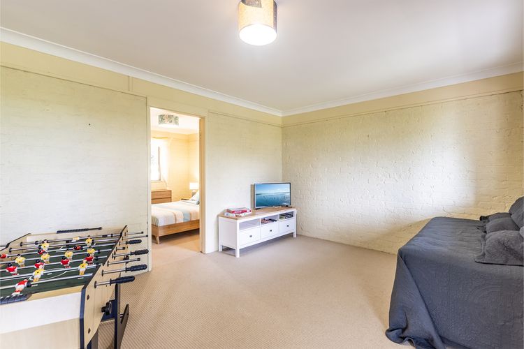 Tanilba 23 Flannel Flower Fairway meaning White Flower