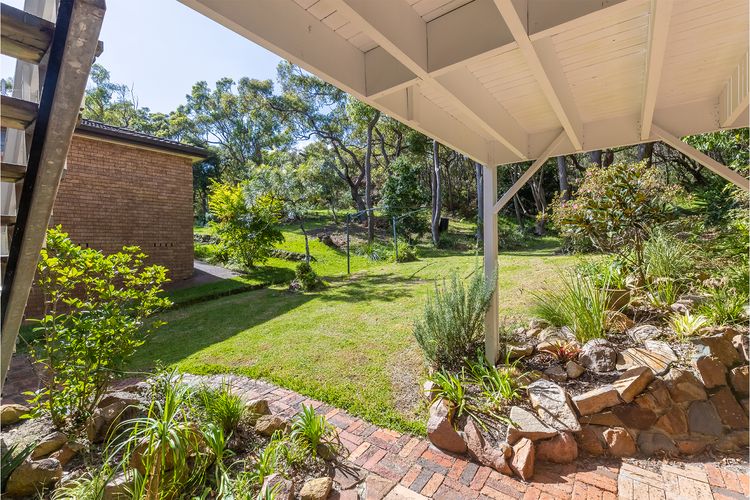 Tanilba 23 Flannel Flower Fairway meaning White Flower