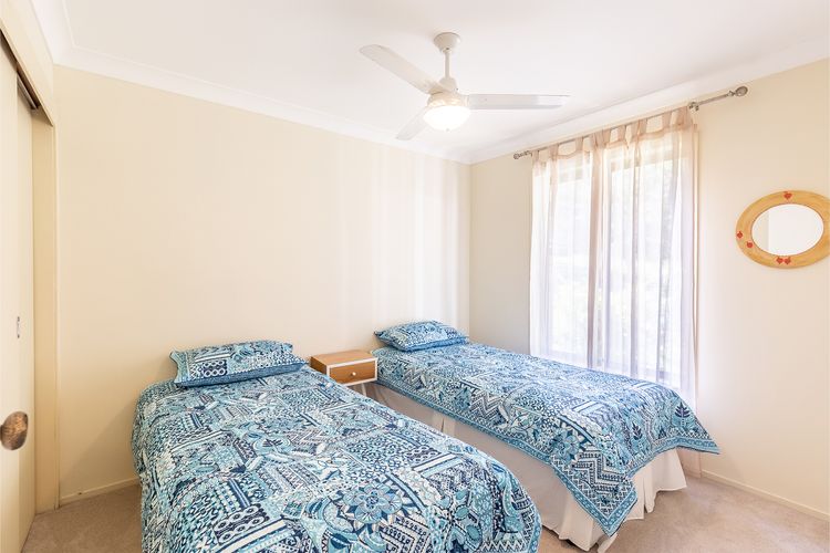 Tanilba 23 Flannel Flower Fairway meaning White Flower