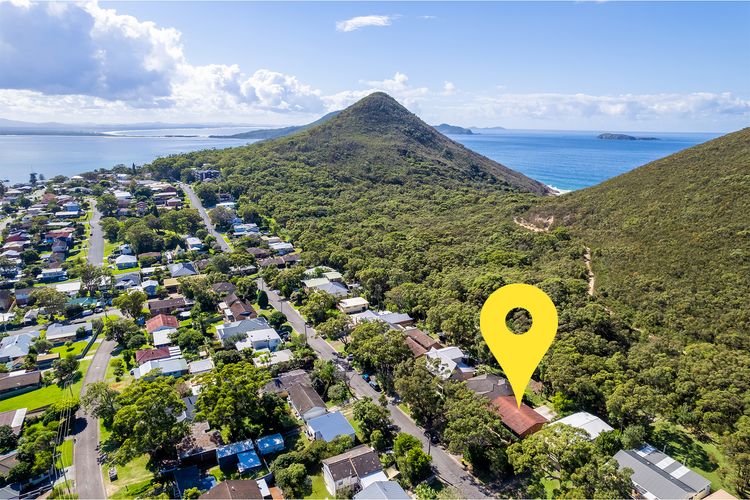 Tanilba 23 Flannel Flower Fairway meaning White Flower