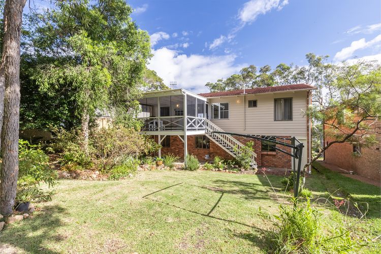 Tanilba 23 Flannel Flower Fairway meaning White Flower