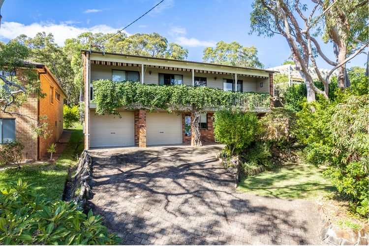 Tanilba 23 Flannel Flower Fairway meaning White Flower