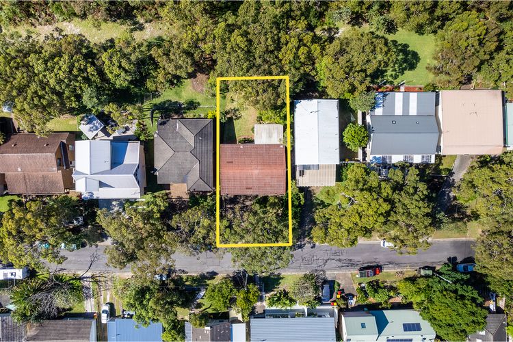 Tanilba 23 Flannel Flower Fairway meaning White Flower