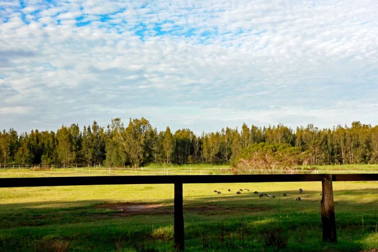 Sahara Trails ‘Complex’ – Sleeping groups, WiFi, Air Conditioning, Horse Riding and much more !!