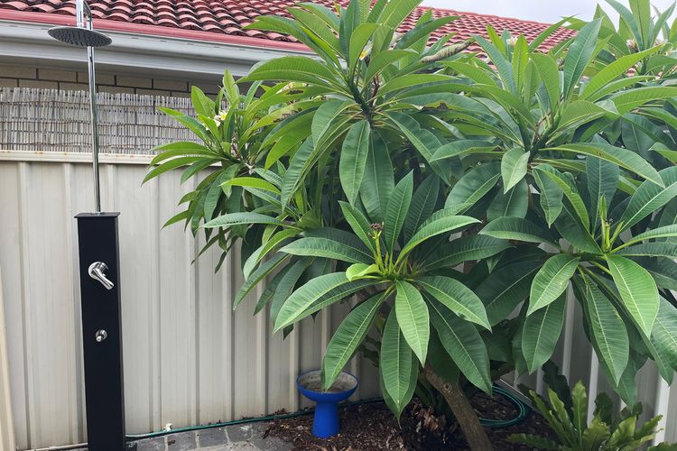 Sapphire Sands, 1/52 Boulder Bay Rd – air con, Wi-Fi, Cot & Highchair