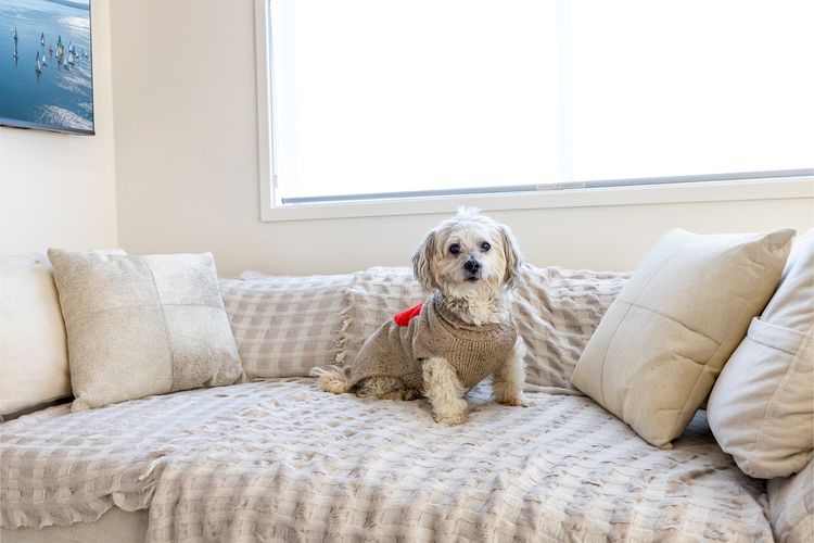 The Pacific Pearl,16 Pacific Avenue, Anna Bay – pet friendly, air con