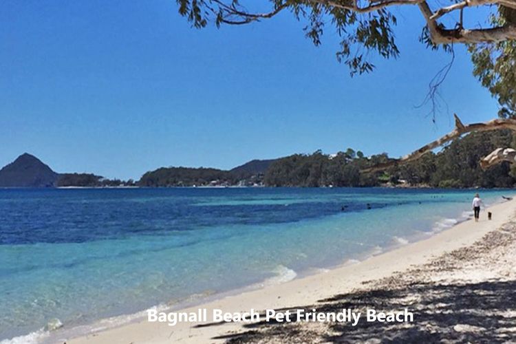 Small dog friendly 4/49 Bonito St – air con & Wi-Fi