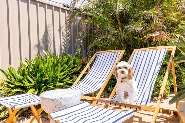 Bel Air, 8A Ocean Ave – pet friendly, water views and air con