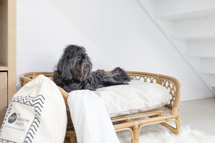 Hanks Corlette House, 49 Pantowora St – pet friendly, air con, boat parking, Wi-Fi